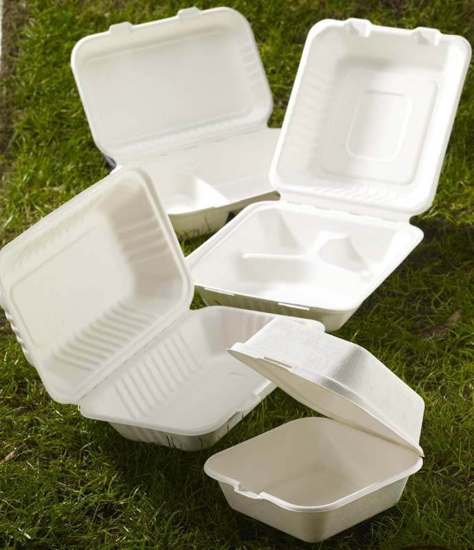 Bagasse Compostable Food Containers